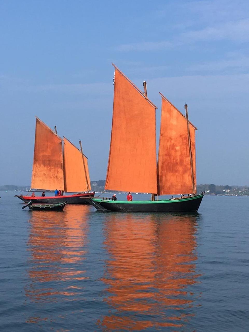 1 2 3 Chambres Entre La Presqu Ile De Rhuys Et Le Golfe Du Morbihan Theix エクステリア 写真